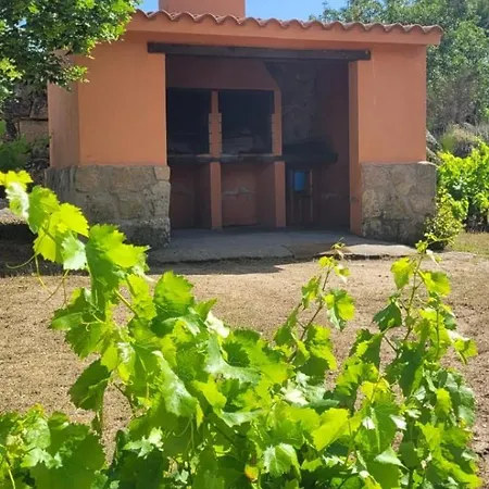 Roja