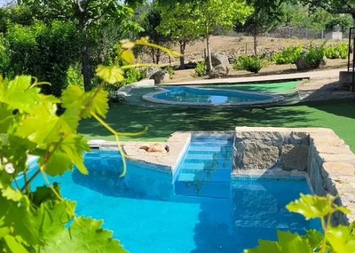 Roja * 세브레로스